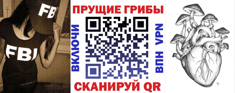 цены Усмань Псилоцибиновые грибы Psilocybe